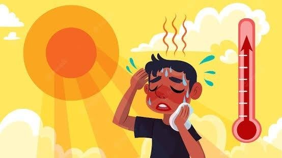 Sucos Naturais: Dicas para o Verão 